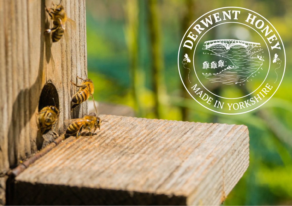Beehive entrance and Derwent Honey logo